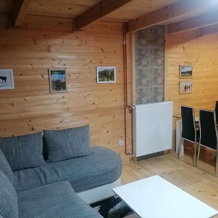 Zlatibor Brvnara Mir Villa Eksteriør bilde